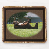 Frisky Foal ~ mousepad