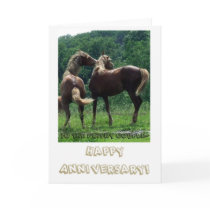 Frisky Horses Anniversary Couple cards