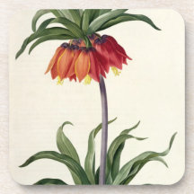 Fritillaria Imperialis from, `Les Lilacees', 1802- Beverage Coasters