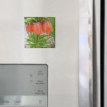 Fritillaria Imperialis Orange Flowers Magnet