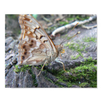 Fritillary Archival Print