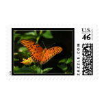 Fritillary Butterfly Photo Postage Stamps