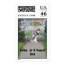 FRITZ, Fritz @ 4 Years Old postage by jasonstyles FRITZ, Fritz @ 4 Years Old postage