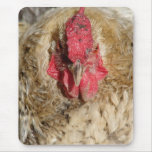 Frizzle Rooster Mousepads