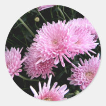 Frizzly Pink Stickers