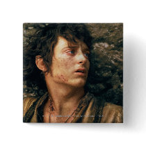Frodo in Despair