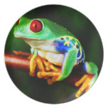 Frog 1 Plate