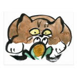 Frog and Brown Tuxedo Kitten Postcards