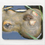 frog and hippo mouse mat