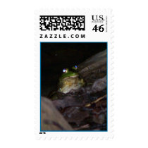 Frog at night postage by Kristineee Frog at night postage