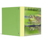 Frog Binder
