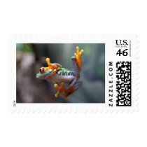 Frog by John Remar Jr. Postage