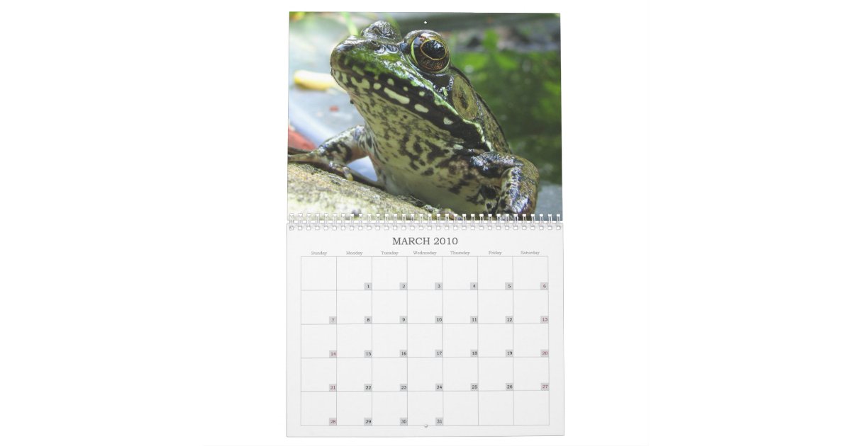 Frog Calendar Zazzle