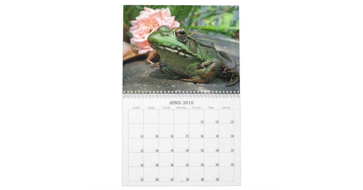 Frog Calendar Zazzle