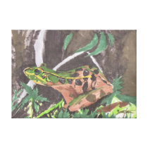 Frog Stretched Canvas Prints