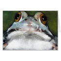 FROG cards