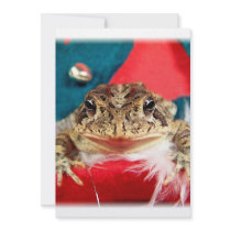 Frog Christmas , Tinsel, feathers, santa pattern Personalized Invites