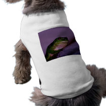 Frog pet clothing