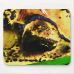 Frog Eye mousepads