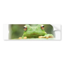 Frog Eyes Bumper Sticker