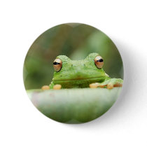 Frog Eyes Button