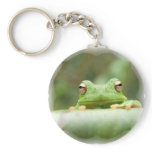 Frog Eyes Keychain keychains
