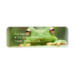 Frog Eyes Return Address Label