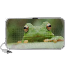 Frog Eyes Speakers