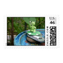Frog Gone Fishing Postage Stamp