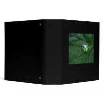 Frog Green binders