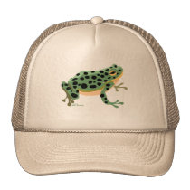 Frog Hat hats
