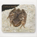 frog, I'm Stuck Here!!!, Photo by: TEYoung mousepads by tyounglyle frog, I'm Stuck Here!!!, Photo by: TEYoung mousepads