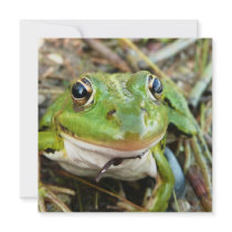 Frog Images Invitation