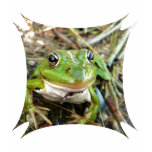 Frog Images Kid's T-Shirt