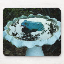 Frog in Birdbath mousepads