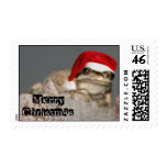 Frog in Santa Hat - Customized