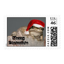 Frog in Santa Hat - Customized postage