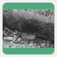 Frog in Stream B+W Square Stickers