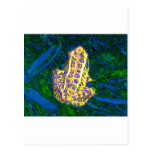 Frog in the Grass Postcards