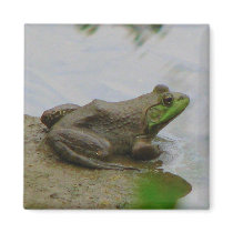 Frog in the Mud magnets