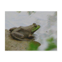 Frog in the Mud postcards by princessklb07 Frog in the Mud postcards