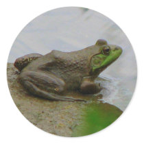 Frog in the Mud stickers by princessklb07 Frog in the Mud stickers