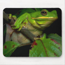 Frog lovers mousepad by joanspouse Frog lovers mousepad