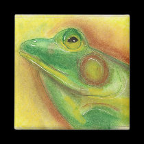 Frog Magnet magnets