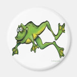 Frog Magnets