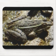 Frog Mousepad