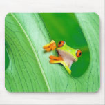 frog mousepads