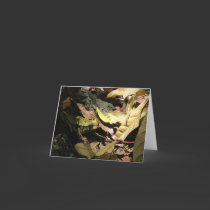 Frog Notecards