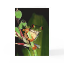 Frog notecards by photoinspiration Frog notecards