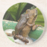 Frog On Back Coaster